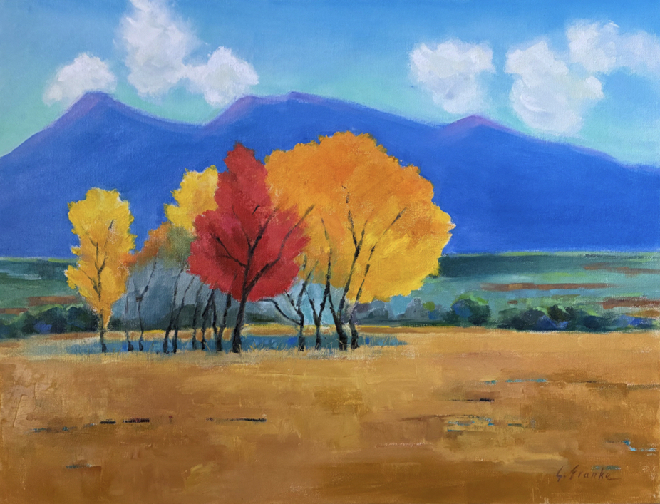 Gail Franke